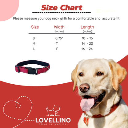 Reflective Padded Dog Collar