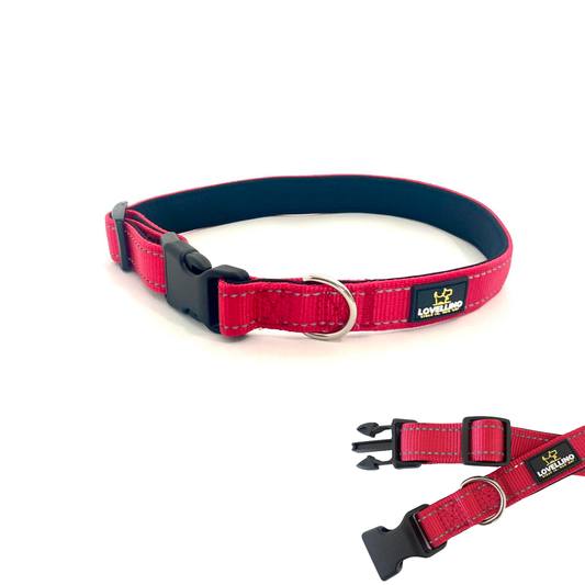 Lovellino Dog Collars – Comfortable, adjustable, and durable collars for all dog sizes. Featuring reflective stitching and strong buckles for secure leash attachment.