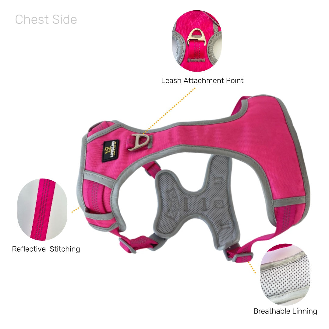 Lovellino Stylish No-Pull  Dog Harness with Handle – Designed for comfort and control, featuring a no-pull design, reflective details, and an easy-to-grip handle for secure walks.