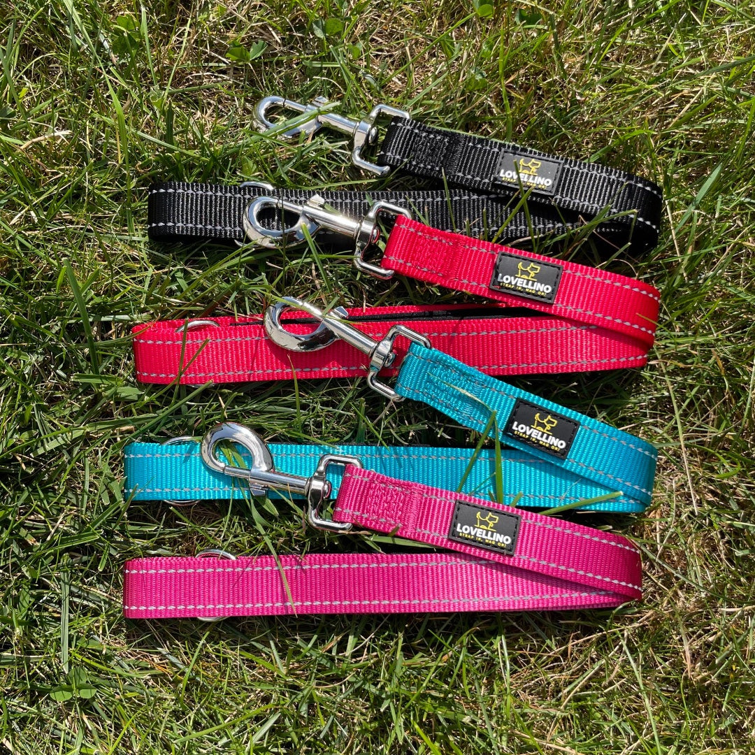 Double Sided Reflective Leash - 4ft/5ft