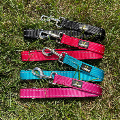 Double Sided Reflective Leash - 4ft/5ft