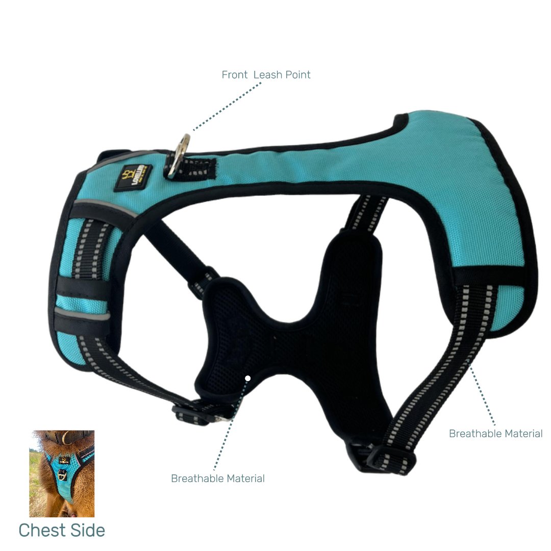 Lovellino No-Pull Dog Harness with Easy Metal Buckle and Handle – Featuring a secure metal buckle, sturdy control handle, and reflective stitching for comfortable, safe walks.