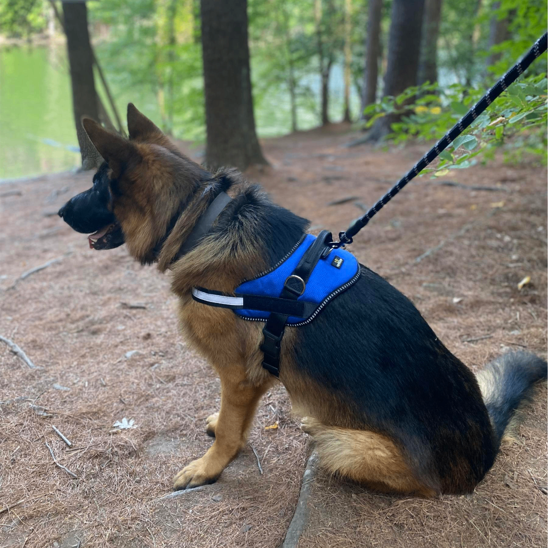 Lovellino Comfortable Dog Harnesses with Handle – Perfect for small and large dogs, featuring no-pull design, reflective stitching, and easy on/off functionality for secure walks