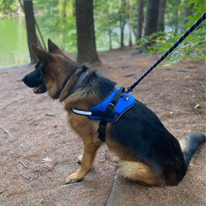 Lovellino Comfortable Dog Harnesses with Handle – Perfect for small and large dogs, featuring no-pull design, reflective stitching, and easy on/off functionality for secure walks