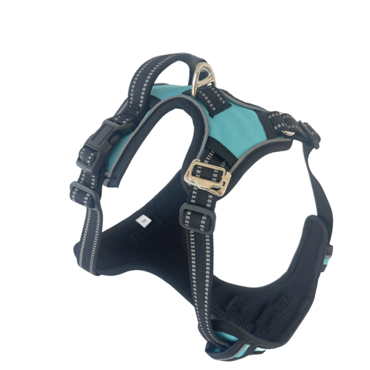 Lovellino No-Pull Dog Harness with Easy Metal Buckle and Handle – Featuring a secure metal buckle, sturdy control handle, and reflective stitching for comfortable, safe walks.