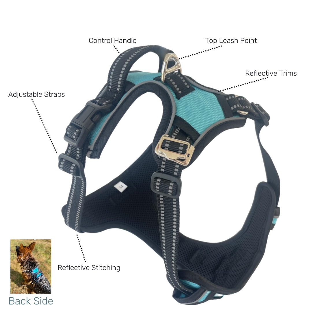 Lovellino No-Pull Dog Harness with Easy Metal Buckle and Handle – Featuring a secure metal buckle, sturdy control handle, and reflective stitching for comfortable, safe walks.