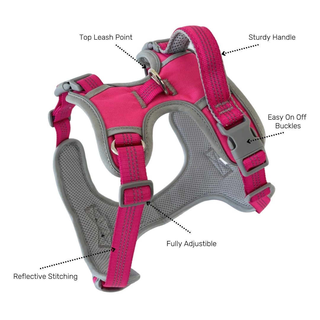Lovellino Stylish No-Pull  Dog Harness with Handle – Designed for comfort and control, featuring a no-pull design, reflective details, and an easy-to-grip handle for secure walks.