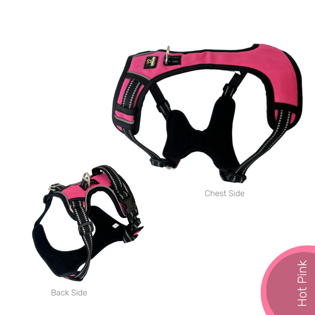 Lovellino No-Pull Dog Harness with Easy Metal Buckle and Handle – Featuring a secure metal buckle, sturdy control handle, and reflective stitching for comfortable, safe walks.