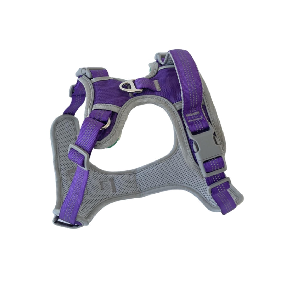 Lovellino Stylish No-Pull  Dog Harness with Handle – Designed for comfort and control, featuring a no-pull design, reflective details, and an easy-to-grip handle for secure walks.