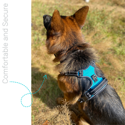 Heavy Duty No Pull Dual Clip Reflective Harness  *** Free Shipping ***