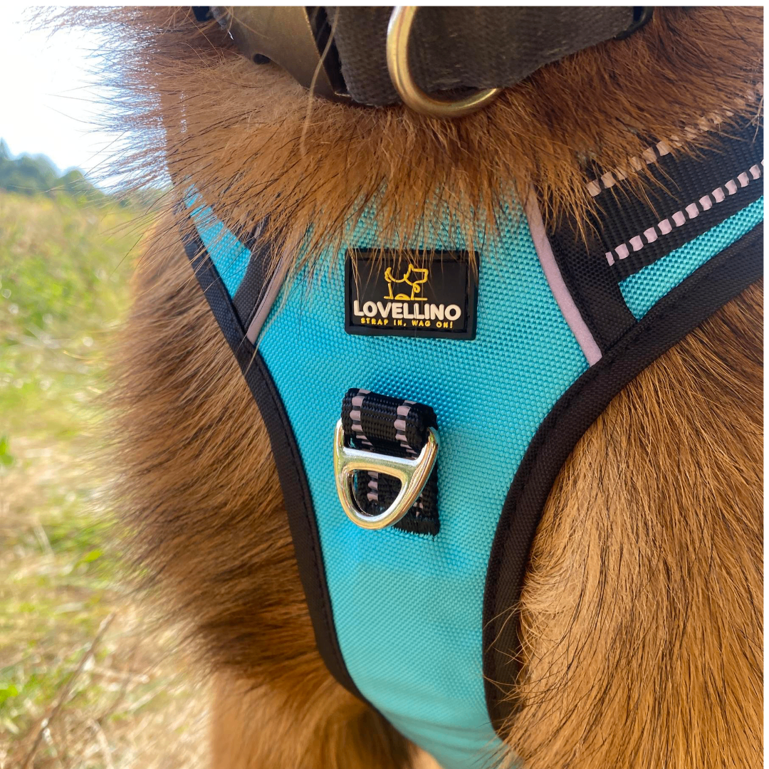 Heavy Duty No Pull Dual Clip Reflective Harness  *** Free Shipping ***
