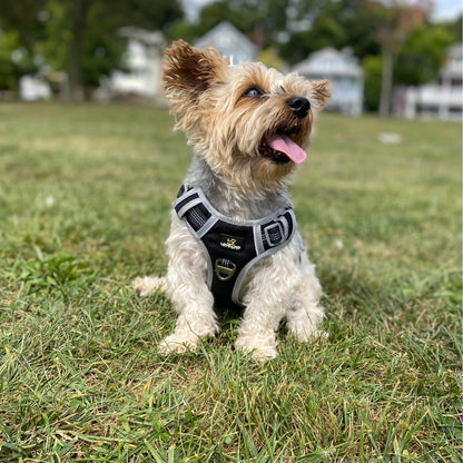Lovellino Paw-Fect No Pull Dog Harness, Sturdy, Light Weight and Reflective *** Free Shipping***