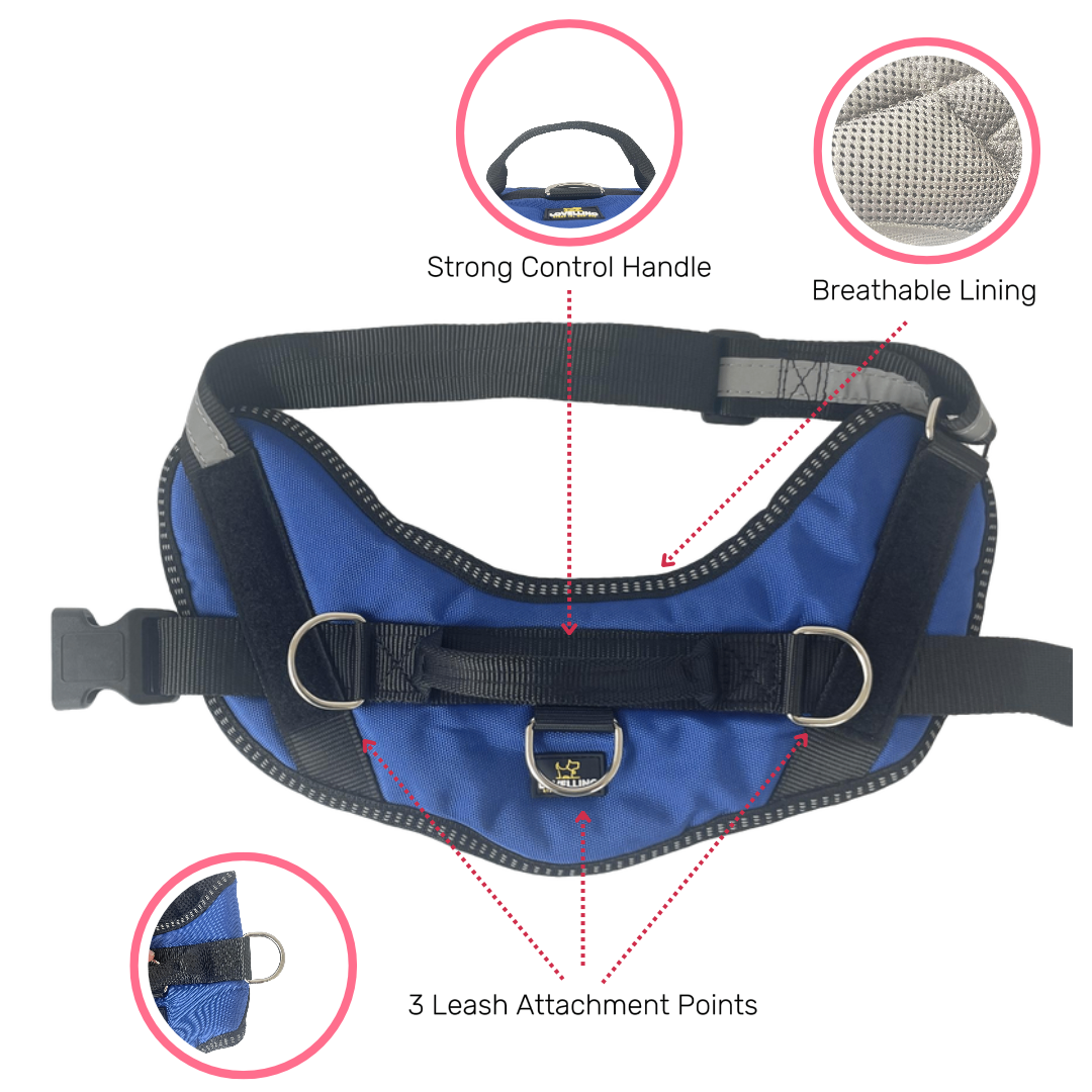 Stress Free - Quick Fit (3 Secs On/Off) Dog Harness with Handle      *** FREE SHIPPING ***